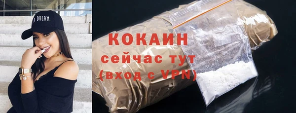 гашик Гусев