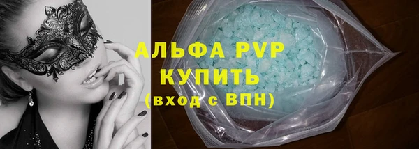 сатива Дмитриев