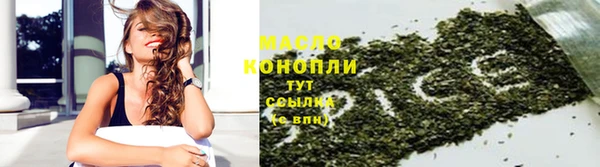 гашик Гусев