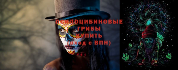 гашик Гусев