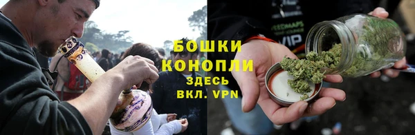 гашик Гусев