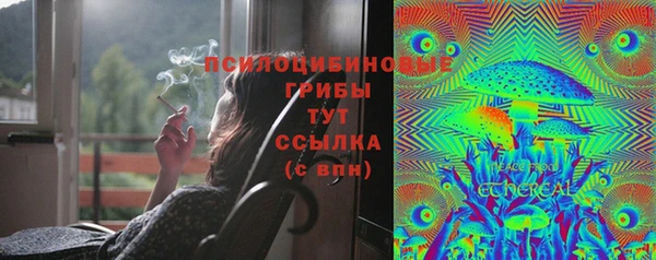 мдпв Гусиноозёрск