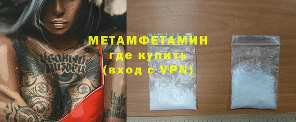 трава Ельня