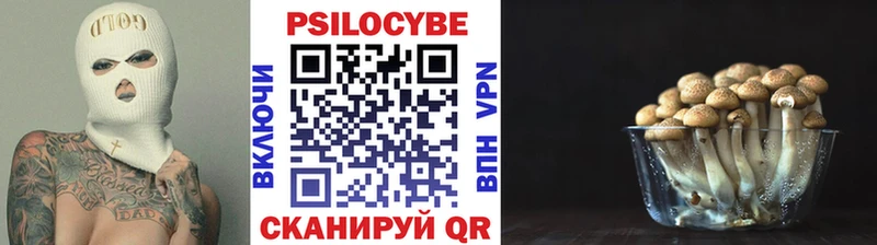 купить наркотик  Южно-Сахалинск  Галлюциногенные грибы GOLDEN TEACHER 